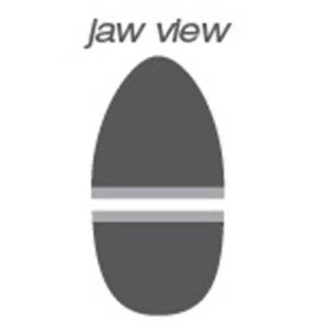 Alternative view of Parrot Beak Nipper
