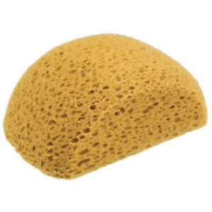 Dta Turtle Back Sponge